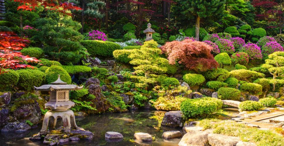 Creer jardin japonais chez soi 1