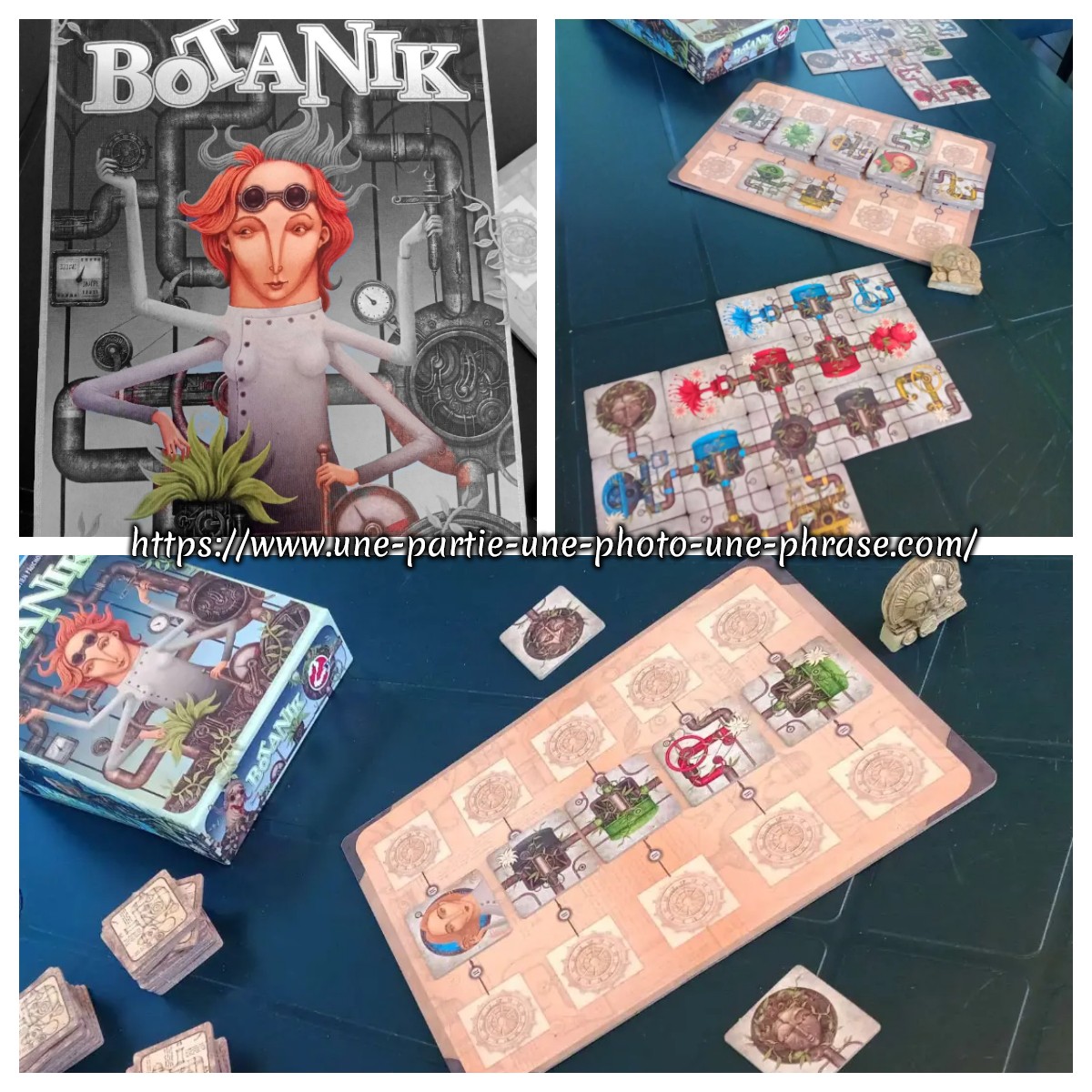 Botanik