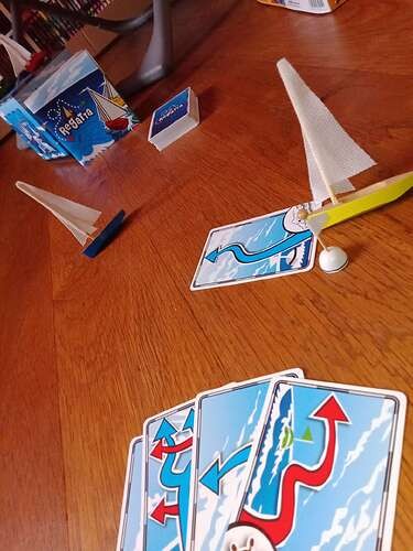 Virtual regatta