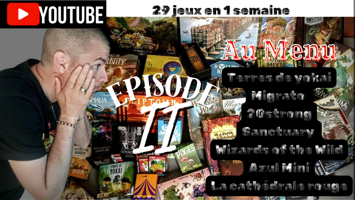 29 jeux en 1 semaine, une partie une photo une phrase