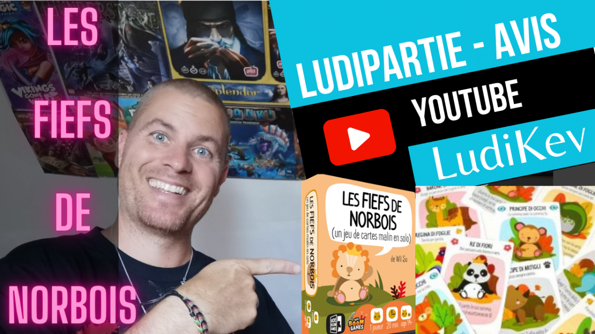 les fiefs de norbois, avis, ludopartie, une partie une photo