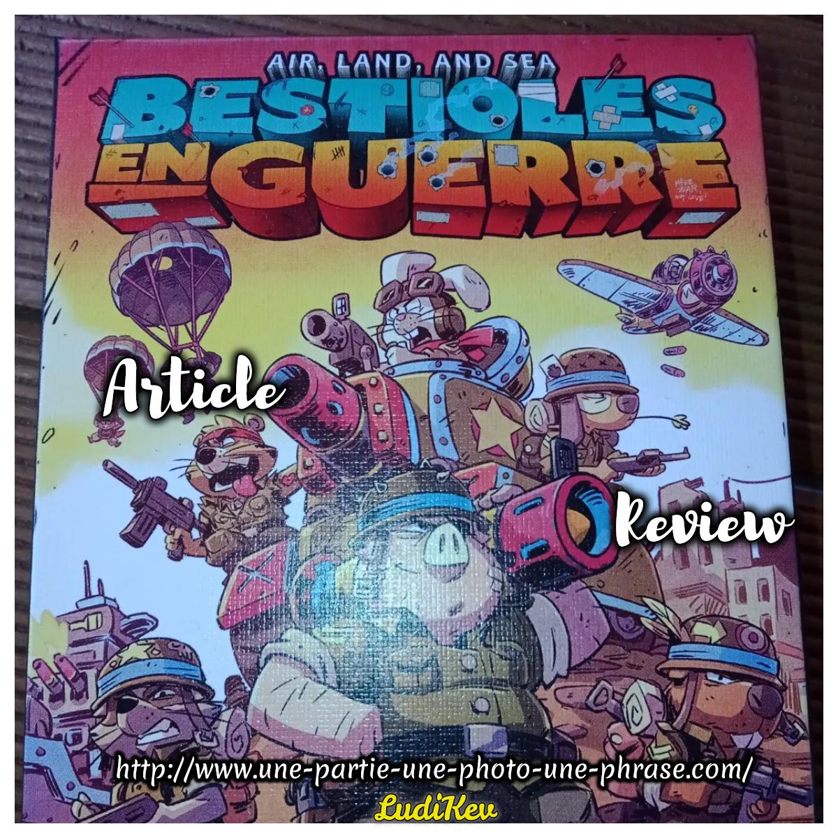 avis, review jeu bestioles en guerre, une partie, une photo