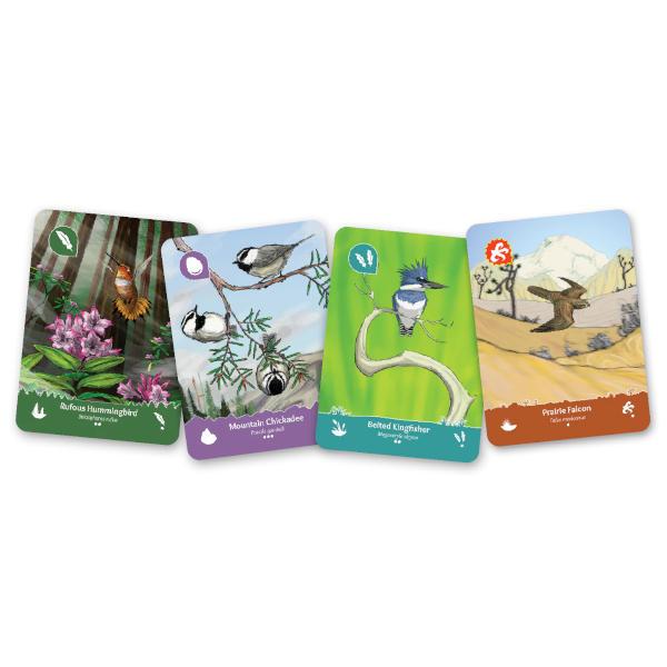 birds of a feather game