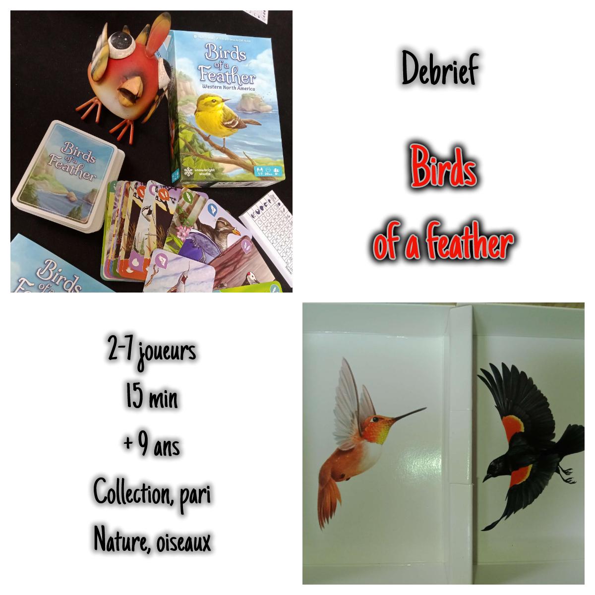 Birds of a feather