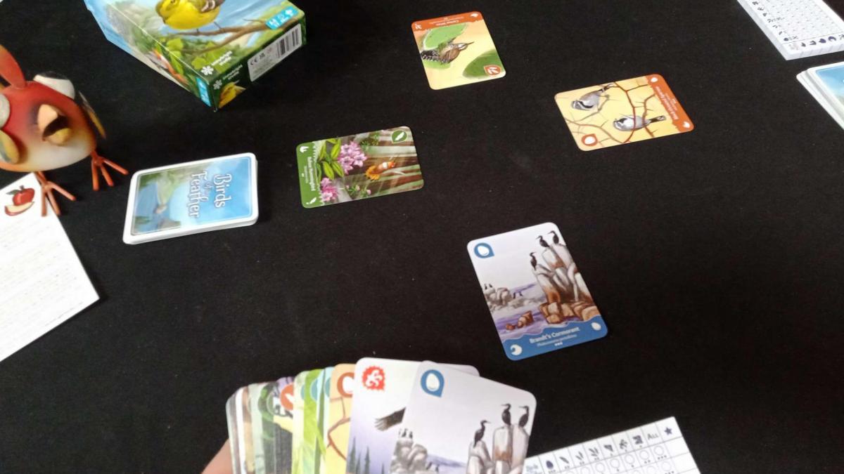 birds of a feather game