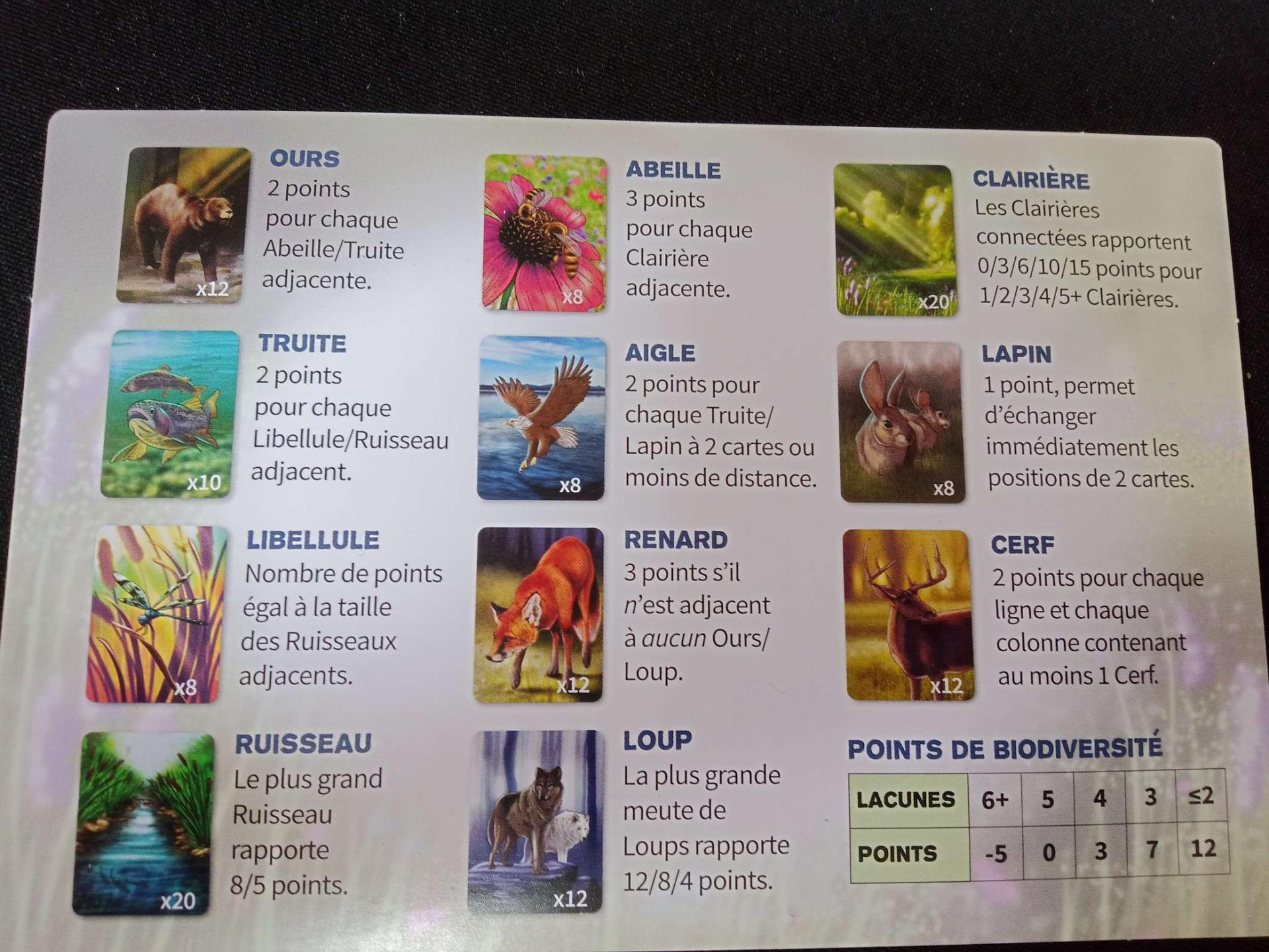 ecosysteme