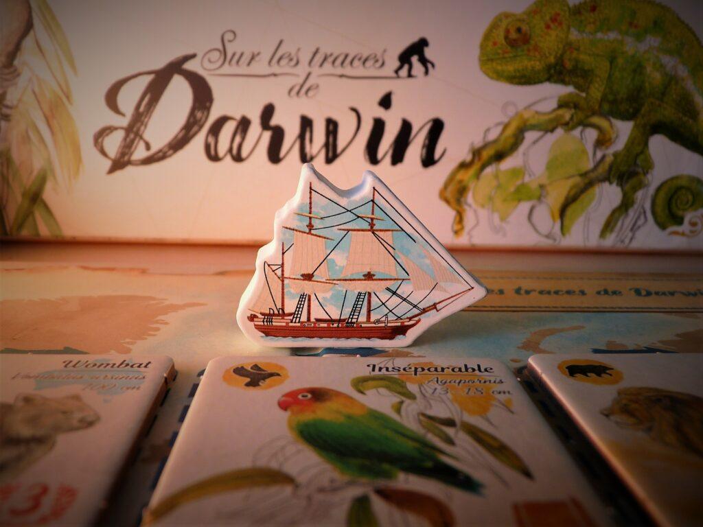 Darwin