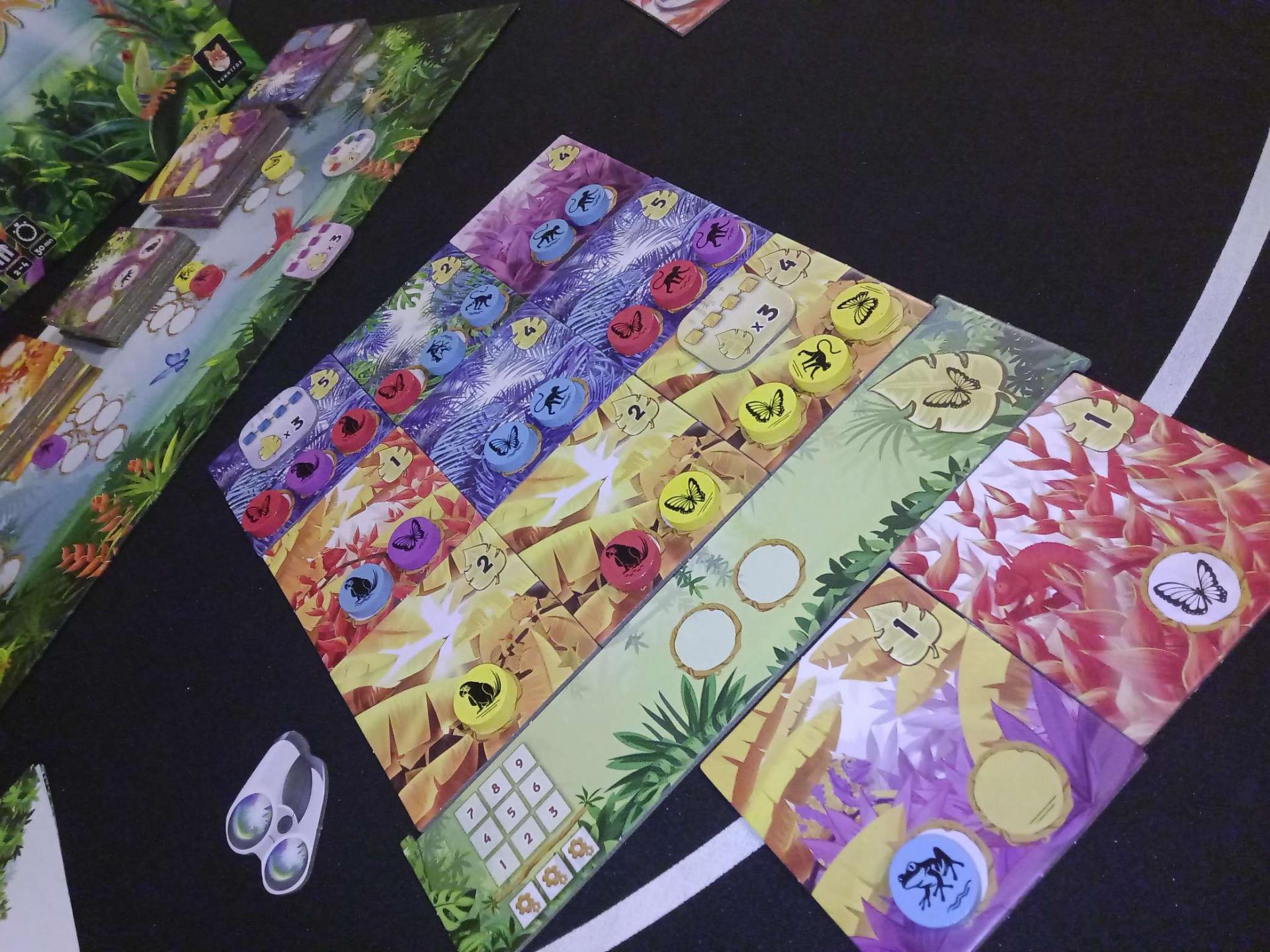 Rain forest